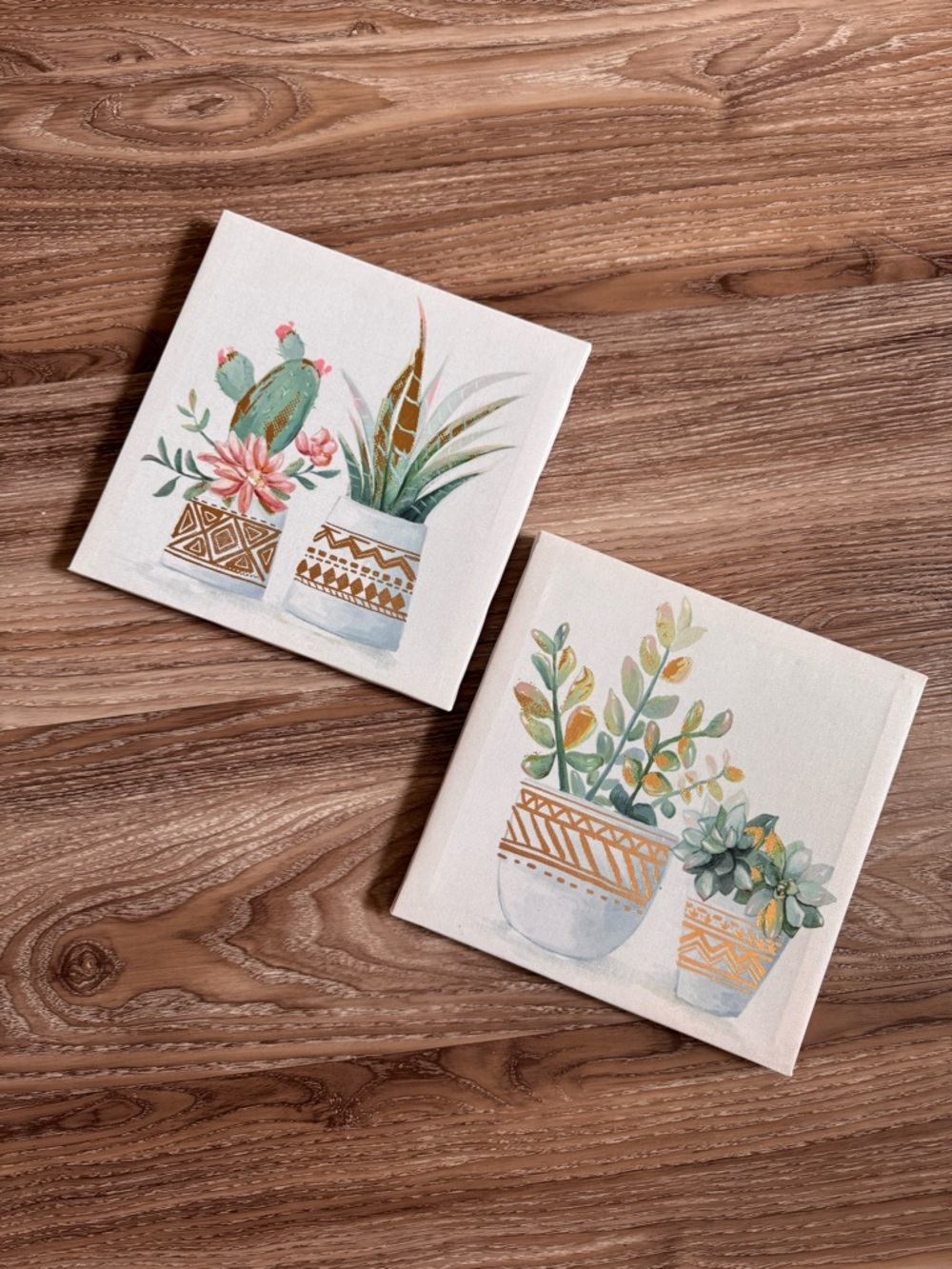 Succulent Plant Art Set - Picture 3 of 13